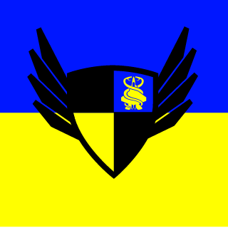 9-01's emblem