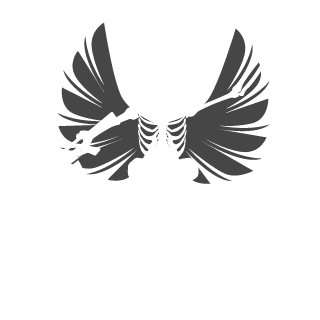 IcI1602's emblem