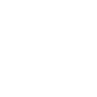 XV_KingVon's emblem