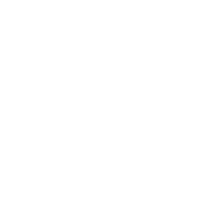 crazy_saniokas's emblem