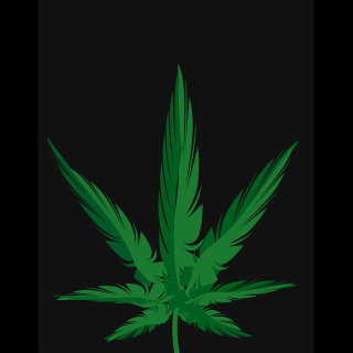 DoctorKlizma's emblem