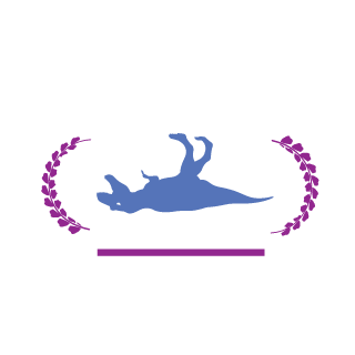 Fuzzmancer's emblem