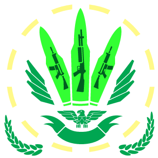 SilenttStormZA's emblem