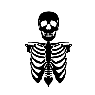 LucasGLSilva's emblem