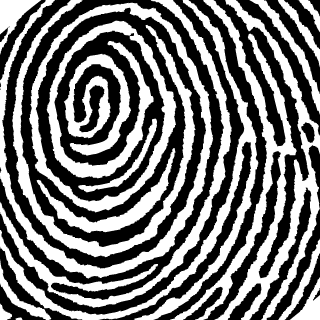 sdmpistoleiro's emblem