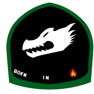 CommanderFox51's emblem