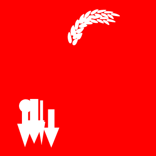 FlyingCamle's emblem
