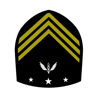 wellersonjubs's emblem
