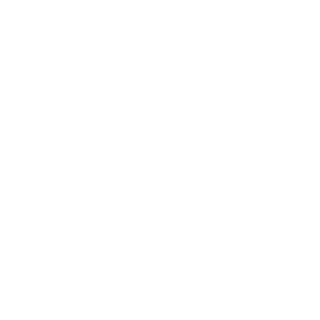 toAntem's emblem