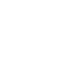 BoxiDoge's emblem