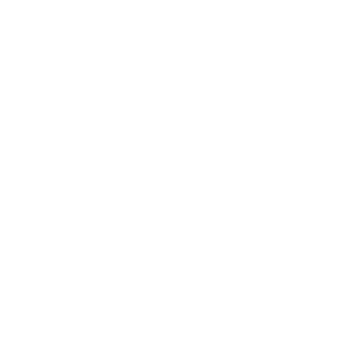 Dungenholf-501's emblem