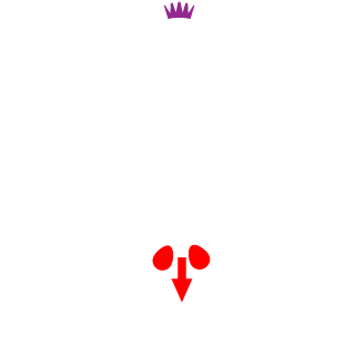 chitona's emblem