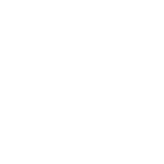 20Antonmatveev04's emblem