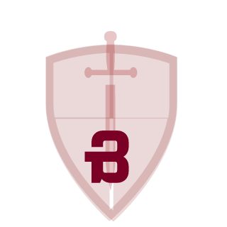 VYMPEL_RUS's emblem