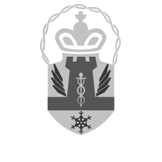 VGSN's emblem