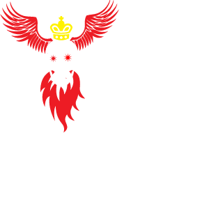 tntmicro's emblem