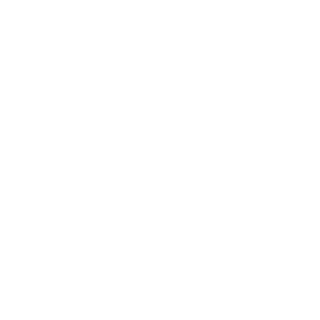 NerfCreeper2's emblem