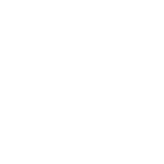 Falkievicz's emblem
