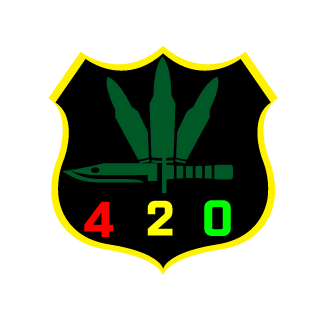 pzr_viNi's emblem