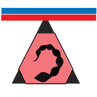 _Rik76669's emblem