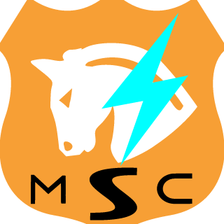 Maverick Security Cons's emblem