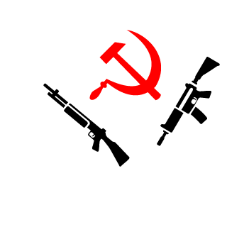 popesculuca00's emblem