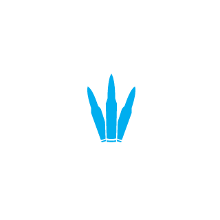 pegasysOP's emblem