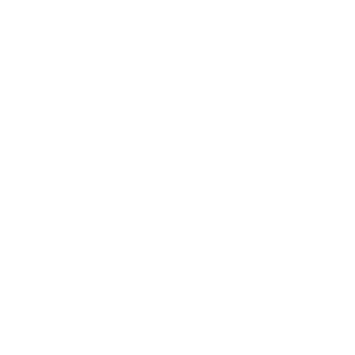 SUPERDOG2000's emblem