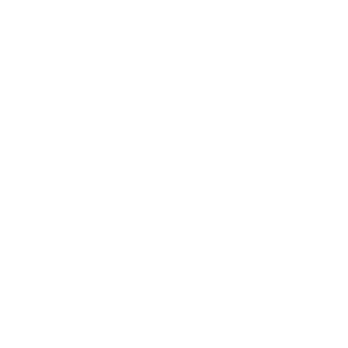 JohnnyTwoGunnz's emblem