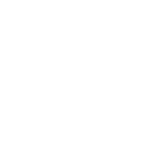 Nuerion's emblem