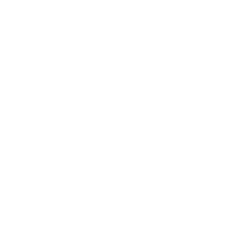 91bombom's emblem