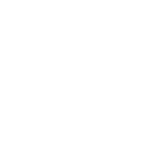 Chrome1337's emblem