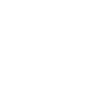 Fen_Electric's emblem