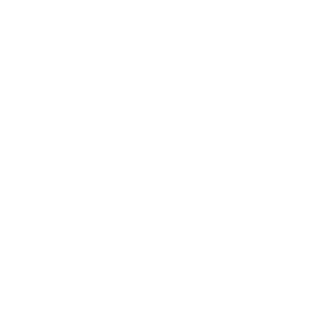 P1mail's emblem