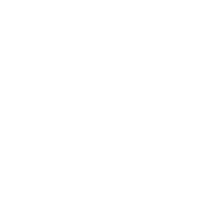 Pilotboy007's emblem
