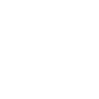 Medved4k's emblem