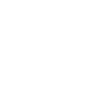 ZFront's emblem