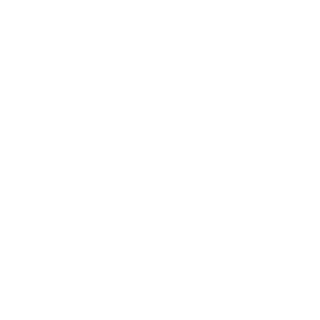 skinbob12's emblem