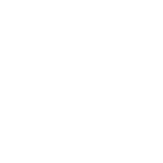 Insanegallop's emblem