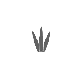 RealLifeJoeBiden's emblem
