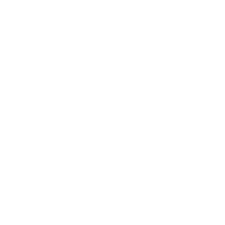 VeinhoBR's emblem