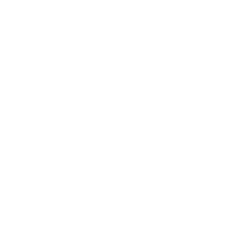 Evolx_Fr's emblem