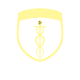 SAMURAI-SOLDIER's emblem