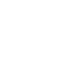 NDNSPACMAN's emblem
