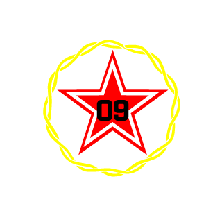 toksyczny2005's emblem