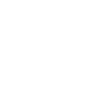 TheHobro's emblem