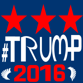 FLYINRYAN466's emblem