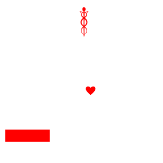 9inSHINE's emblem