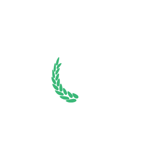 ckscity29's emblem