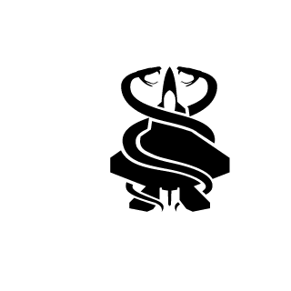 Wavedash20XX275's emblem